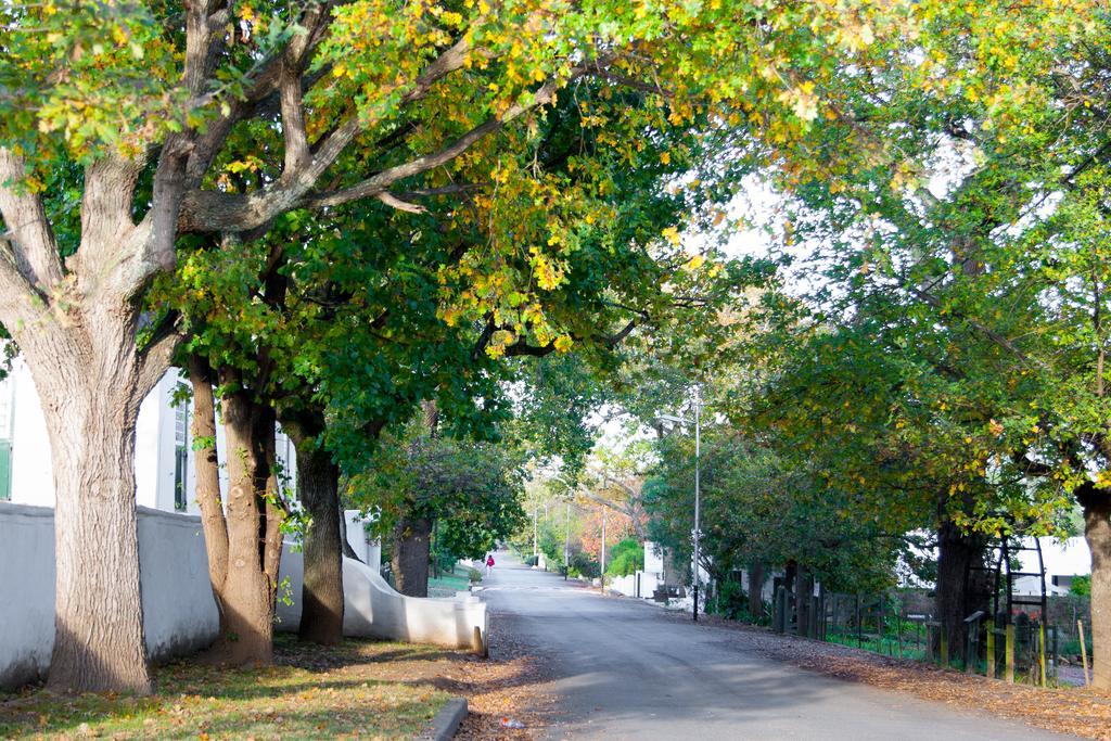 Babette Bed And Breakfast Swellendam Exterior photo